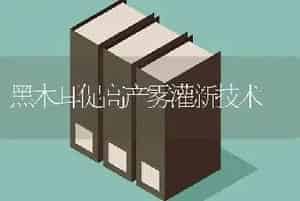 黑木耳促高产雾灌新技术