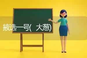 掖选一号(大葱)