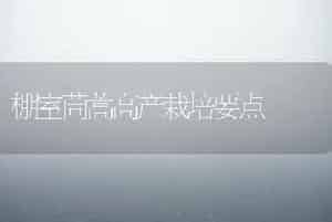 空调环境宜养四种兰：君子兰 米兰 吊兰 虎尾兰-花卉苗木养护管理