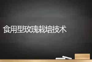 食用型玫瑰栽培技术