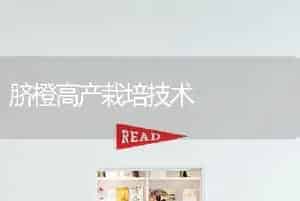 脐橙高产栽培技术
