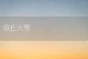章丘大葱
