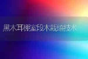 黑木耳棚室段木栽培技术