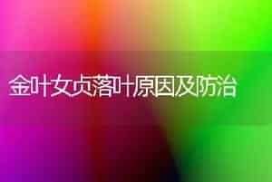 金叶女贞落叶原因及防治