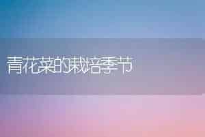 青花菜的栽培季节