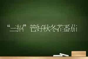 “三招”管好秋冬茬番茄