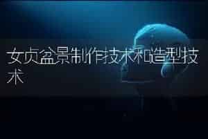 女贞盆景制作技术和造型技术