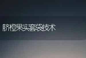 脐橙果实套袋技术