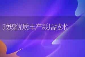 玫瑰优质丰产栽培技术