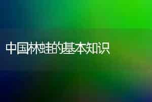 中国林蛙的基本知识