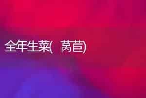 全年生菜(莴苣)