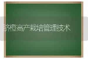 脐橙高产栽培管理技术