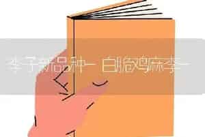 李子新品种-白脆鸡麻李-