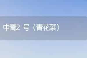 中青2号（青花菜）