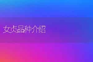 女贞品种介绍