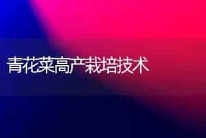 青花菜高产栽培技术