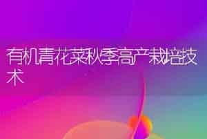 有机青花菜秋季高产栽培技术