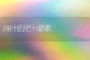 中国树蟾