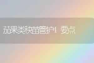 中国粮食单产总产都将创新高 或实现“九连增”