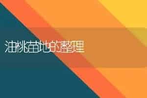 用于花卉栽培的中国兰花主要有哪几种?
