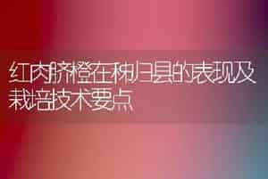 红肉脐橙在秭归县的表现及栽培技术要点