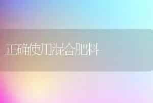 中国地方畜禽品种资源简介（十七）――蜜蜂