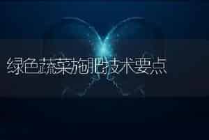 大葱高产栽培田间管理