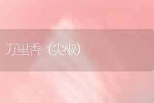 地栽黑木耳生产时间紧迫时咋办