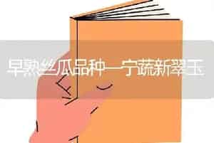 观赏脐橙盆栽技术