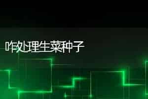 咋处理生菜种子