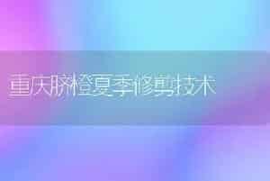 重庆脐橙夏季修剪技术