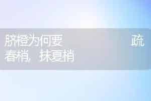 脐橙为何要      疏春梢,抹夏梢