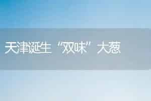 天津诞生“双味”大葱