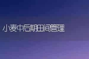 当前脐橙田间管理技术要点
