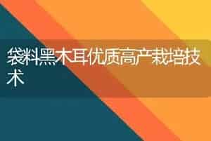 袋料黑木耳优质高产栽培技术