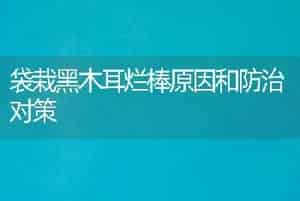 袋栽黑木耳烂棒原因和防治对策