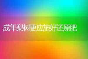 家庭如何盆养荷花