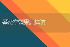 番茄空洞果怎样防