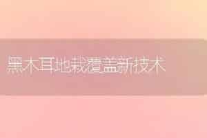 黑木耳地栽覆盖新技术