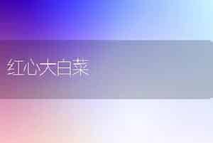 红心大白菜