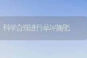重庆日本脐橙栽培技术