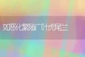 如恶化繁殖广叶虎尾兰