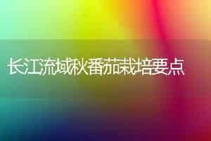 长江流域秋番茄栽培要点