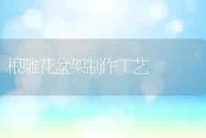玫瑰的用途