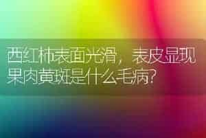 脐橙定植三年早果丰产技术