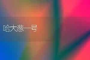 哈大葱一号