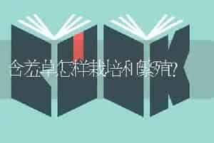 含羞草怎样栽培和繁殖？