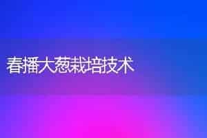 春播大葱栽培技术