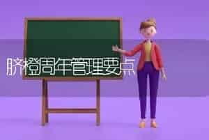 脐橙周年管理要点