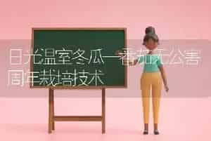 日光温室冬瓜—番茄无公害周年栽培技术